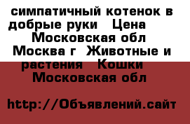симпатичный котенок в добрые руки › Цена ­ 50 - Московская обл., Москва г. Животные и растения » Кошки   . Московская обл.